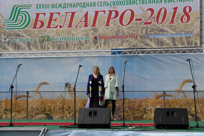 IMG_3601.JPG
