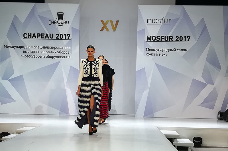 Шапо2017-3.jpg